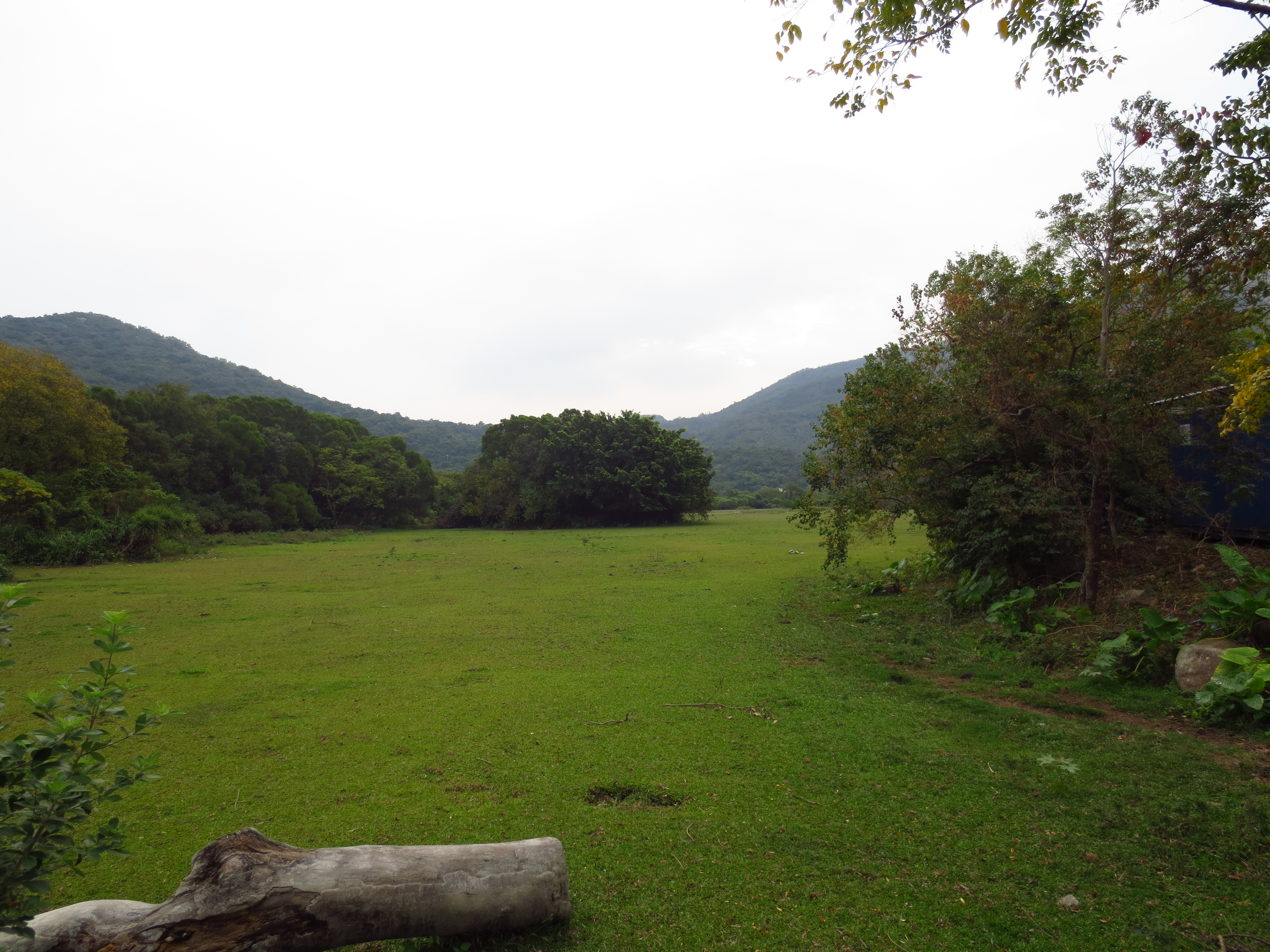 Pui O Wetlands in 2012